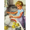 Ladybird Classic Geschirrtuch