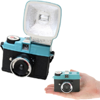 Diana Mini Flash