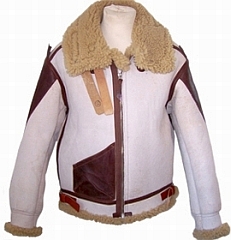 Type B-3 Arctic